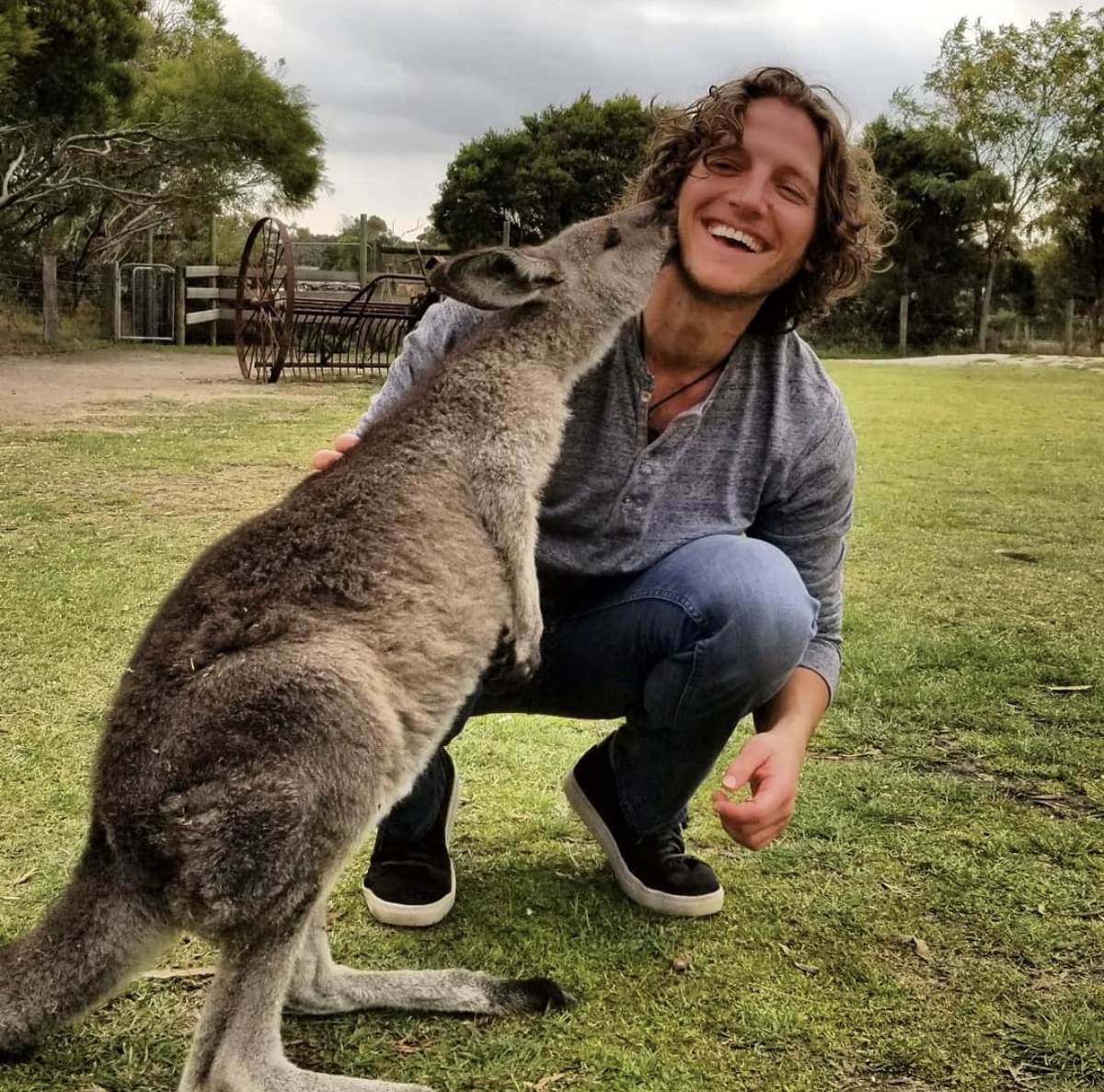 Kangaroo kisses